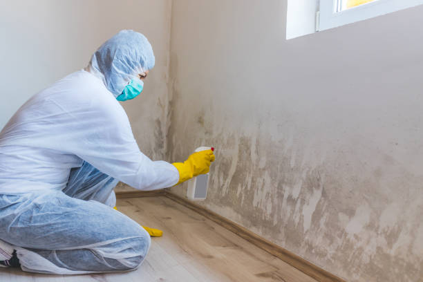 Hvac And Air Duct Mold Remediation inspection of HVAC system in Venice